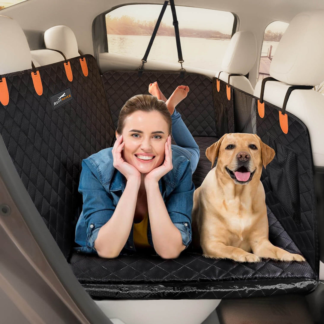 Skanto | DogBench | Reis fredelig med hunden din