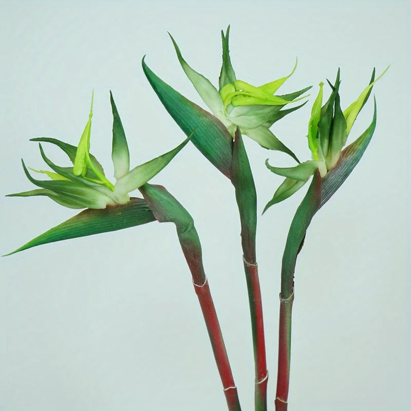 Skanto | Floriva 3-delt sett Künstig Strelitzia | Paradisfuglblomster | 24,5 cm Lange stilker | Dekorasjon for hjemmet, kontoret & arrangementer