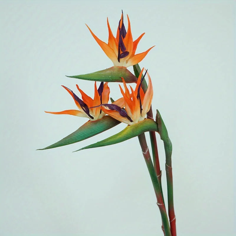 Skanto | Floriva 3-delt sett Künstig Strelitzia | Paradisfuglblomster | 24,5 cm Lange stilker | Dekorasjon for hjemmet, kontoret & arrangementer