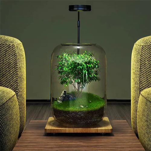 Micro Landscape Green Oasis Glass Vase | Skanto
