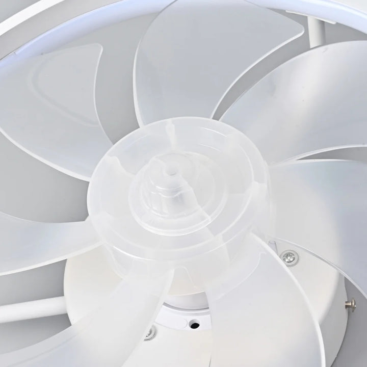 Moderne LED Taklampe Vifte med DC-motor - 6 Hastigheter, Timer, Lav Etasje Loftsvifte, Fjernkontroll Dekorativ Lys | Skanto