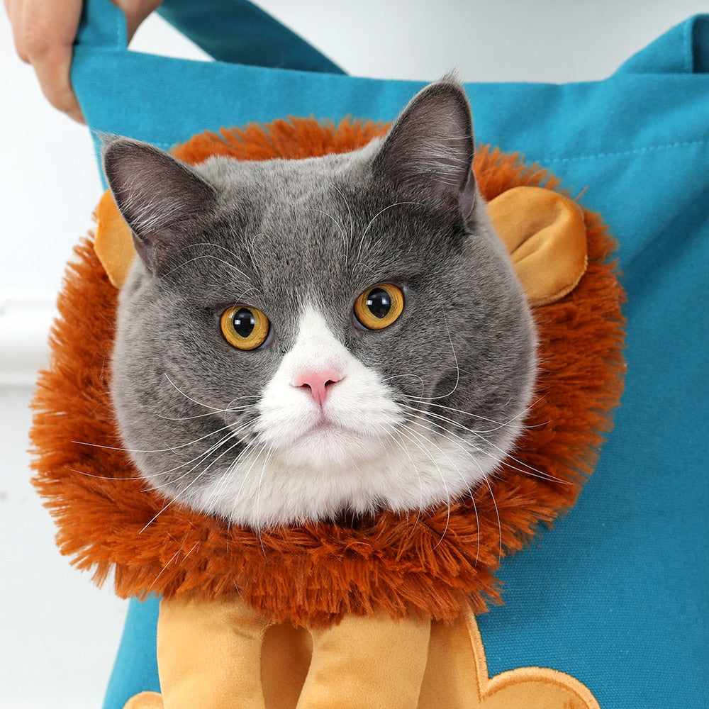 Skanto | Purry Express Reiselommebok