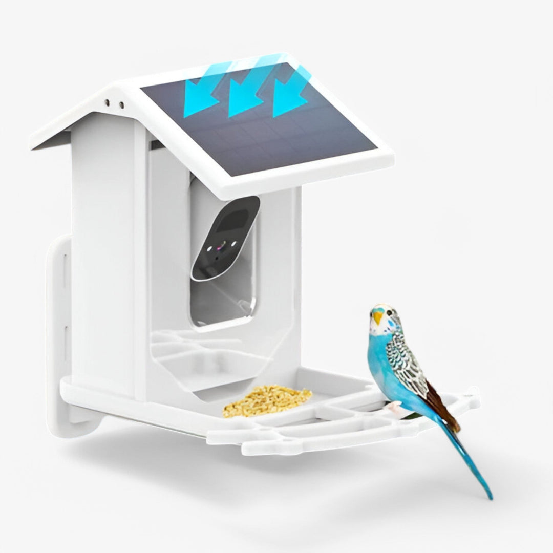 Skanto | Auxco | Smart Bird Feeder med 1080P HD Kamera, AI Fuglgjenkjenning & Solenergi Lading