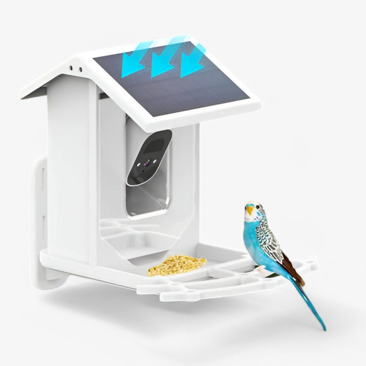 Skanto | Auxco | Smart Bird Feeder med 1080P HD Kamera, AI Fuglgjenkjenning & Solenergi Lading