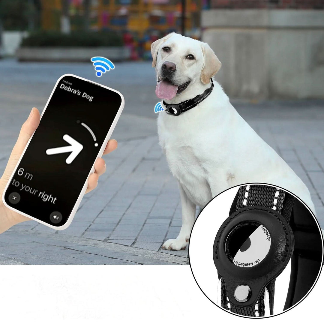 Skanto | LEAZO - AirTag hundehalsbånd