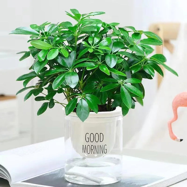 Skanto | Kunstig Plante EverLeaf 33 | 33 cm | Med Stilken & Blader | Lavt vedlikehold Dekor for Hjem & Kontor