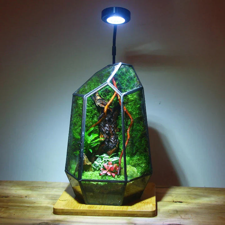 Moderne geometrisk, inspirert av naturen botanisk terrarium | Skanto