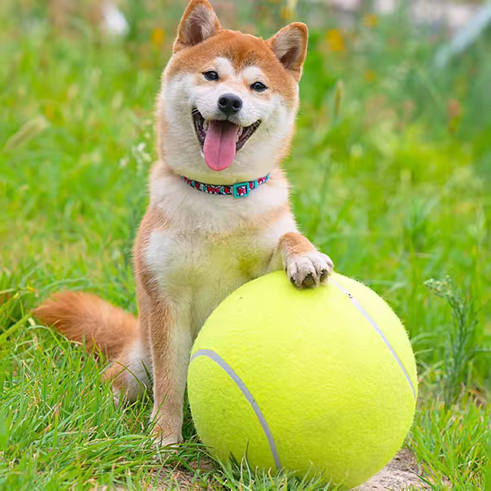 Ekstra stor tennisball for hunder Skanto