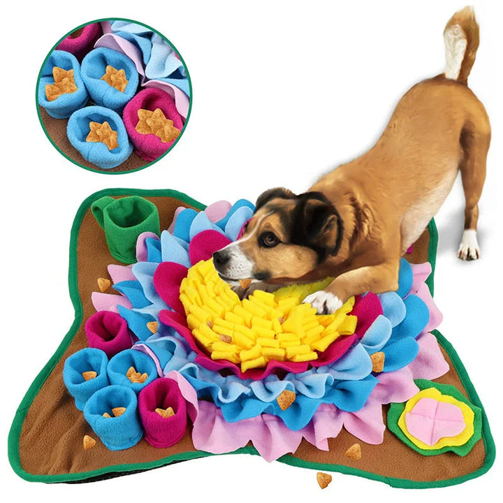 ScentQuest Interaktiv Sniffing Mat – SniffMaster Skanto