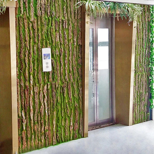 Skanto | DIY Veggdekorasjon Grønn Plante Bark
