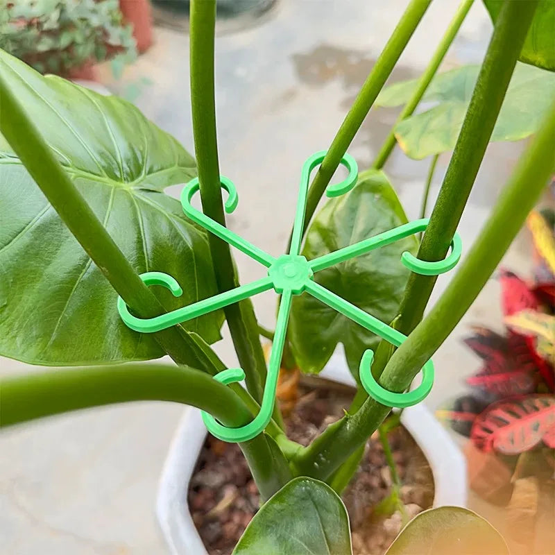Skanto | Plante Stengel Støtte Ramme