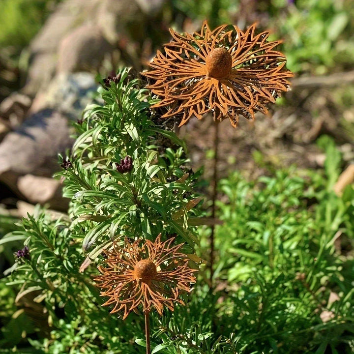 Skanto | FLORUSTA Hagepinn Blåblomst | Rust Utseende Metall | Rustikk Hage Decor