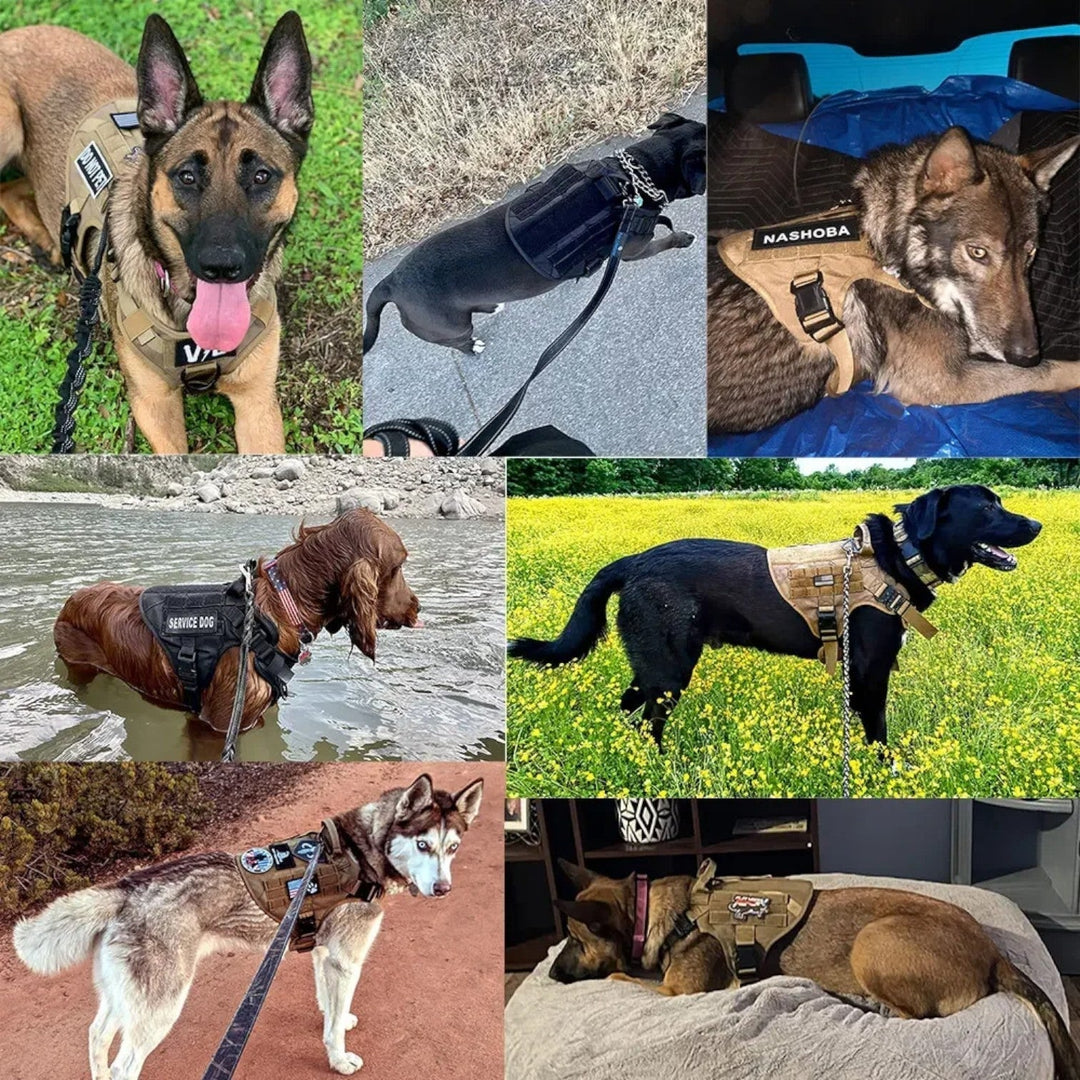 Skanto | KrachtGrip Hundesele – Justerbar Taktisk Sele for Trening & Turer