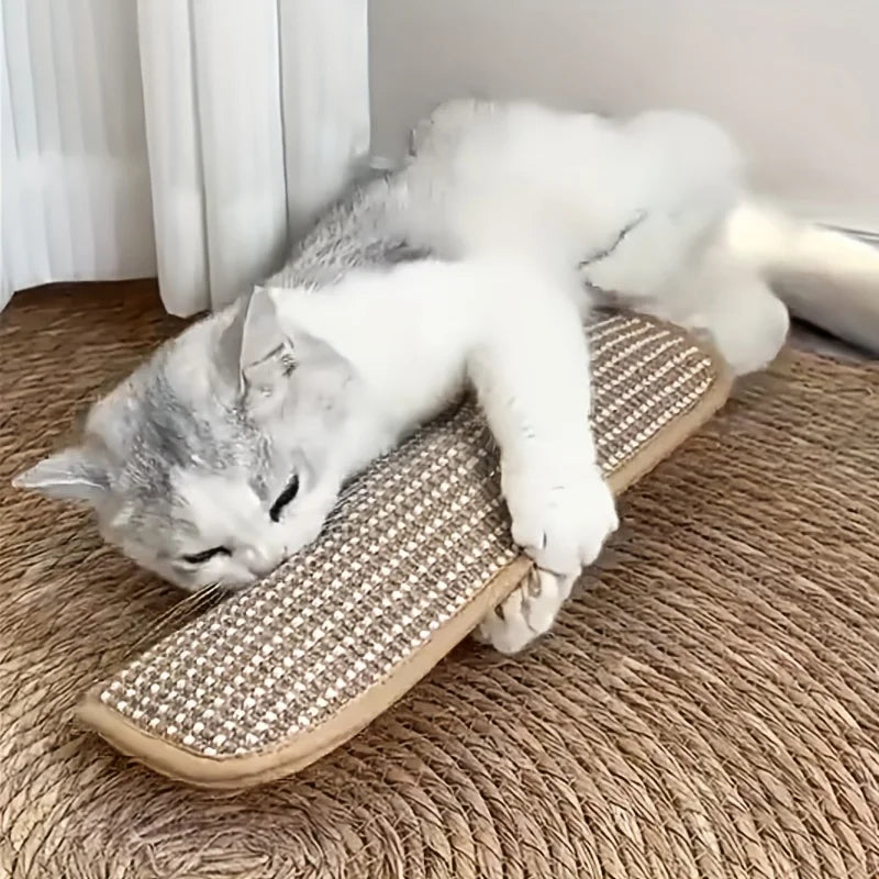 Klorepute for katter med kattmynt holdbar og robust Skanto