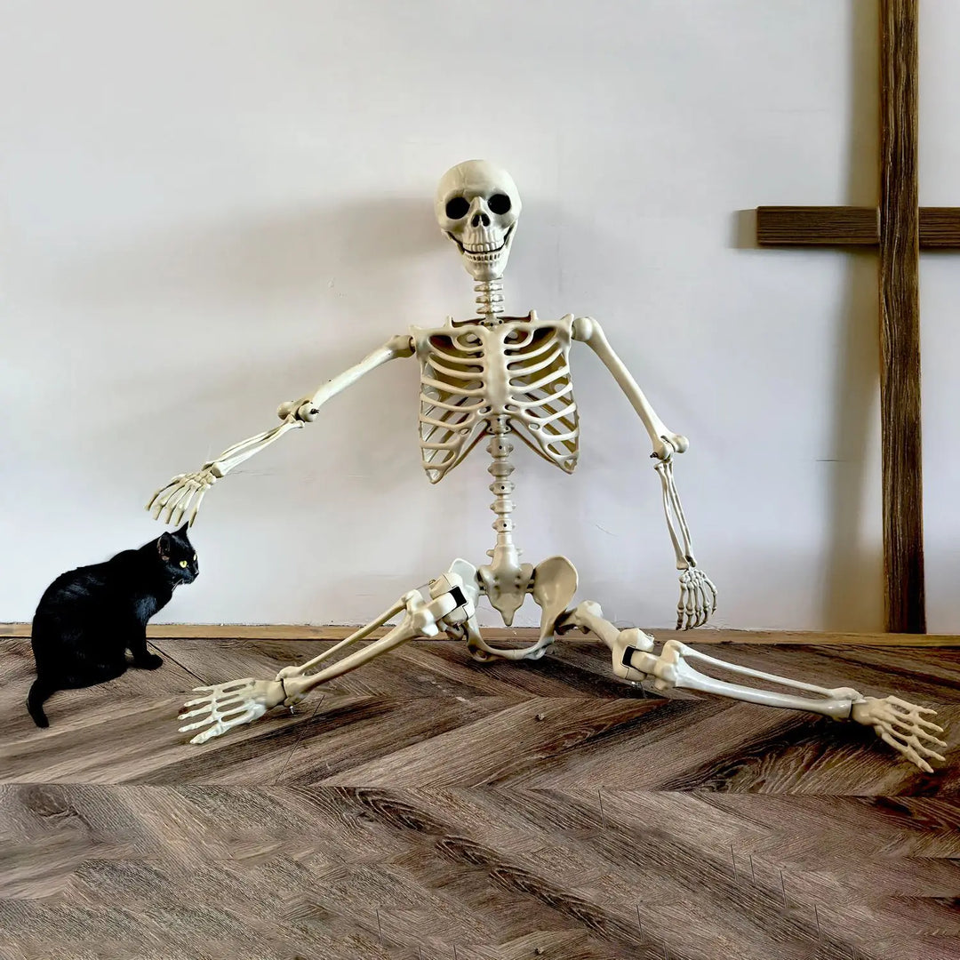 Skanto | Flyttbart menneskelig skjelett 90–165 cm — realistisk dekorasjon for Halloween og horrorfester