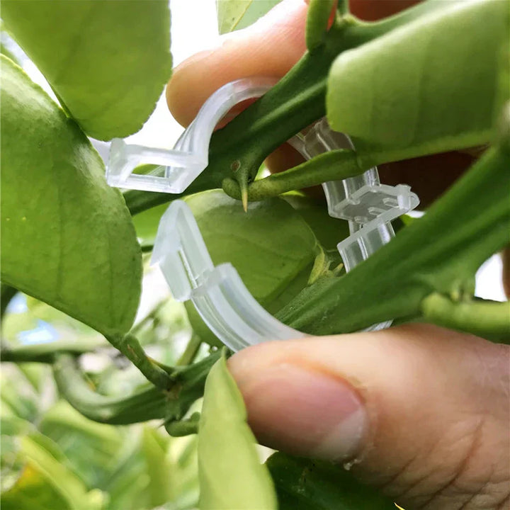 Plastklemmer for plante støtte | Grafting og fikseringsverktøy! | Skanto