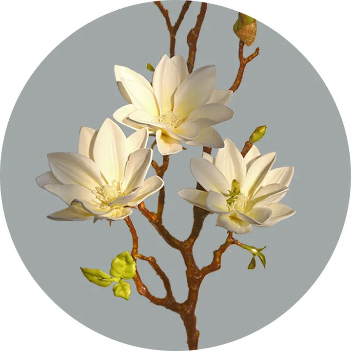Skanto | Künstige Magnolia Blomster