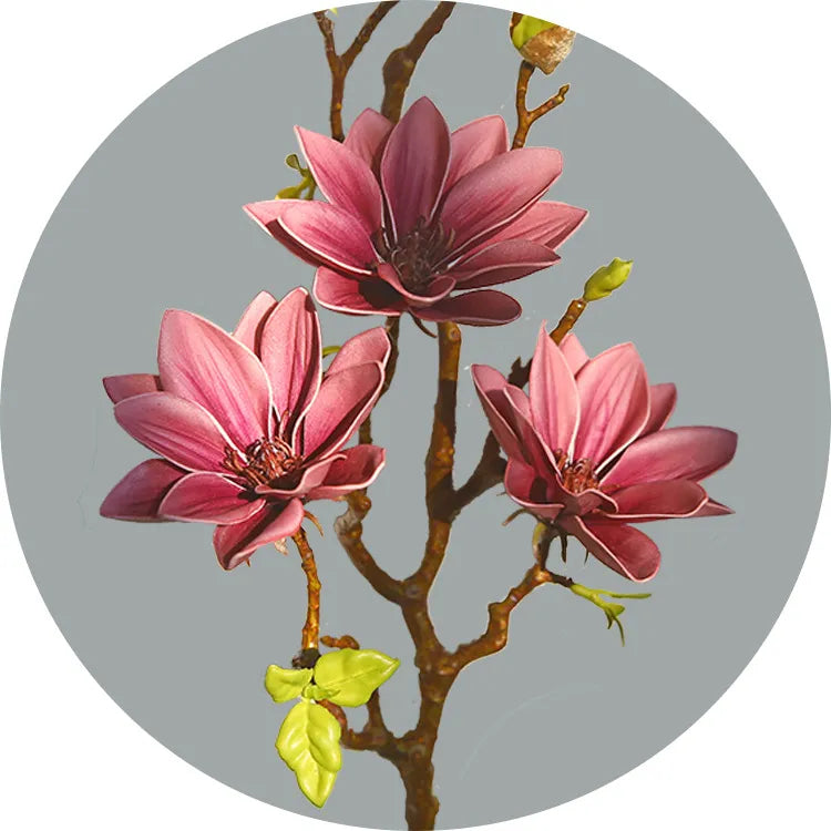 Skanto | Künstige Magnolia Blomster