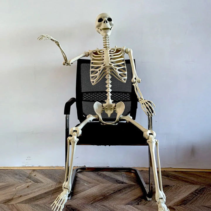 Skanto | Flyttbart menneskelig skjelett 90–165 cm — realistisk dekorasjon for Halloween og horrorfester