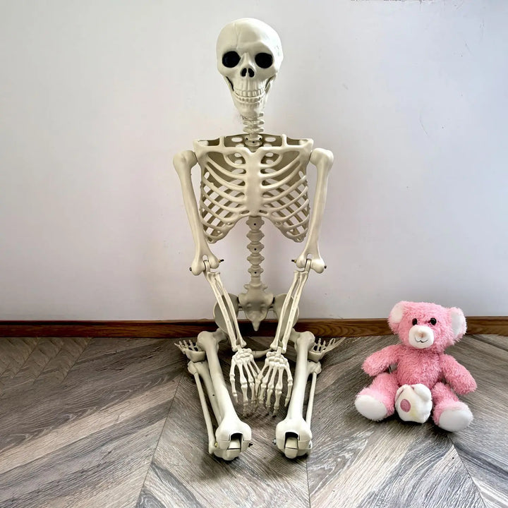 Skanto | Flyttbar menneskelig skjelett 90–165 cm — realistisk dekorasjon for Halloween og skrekkfester
