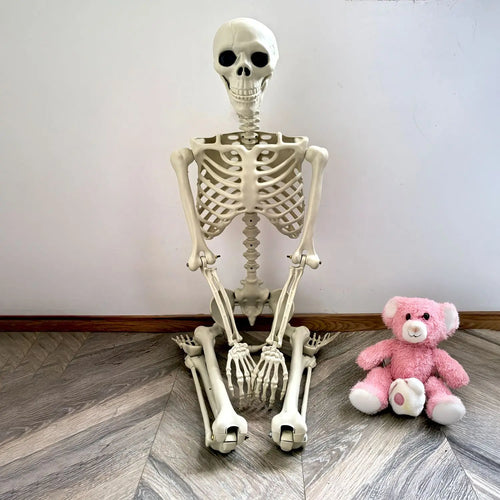Skanto | Flyttbar menneskelig skjelett 90–165 cm — realistisk dekorasjon for Halloween og skrekkfester