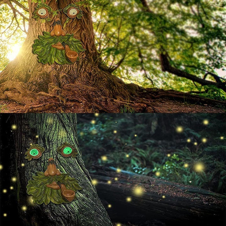 Skanto | Eyes of Nature: Tre Ansikt Fugl Matestasjon