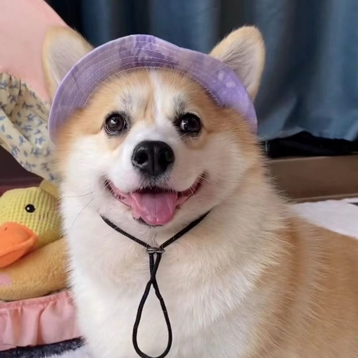 Skanto | Chic Pet Sun Hat - Lettvekts og stilfull solbeskyttelse for hunder og katter