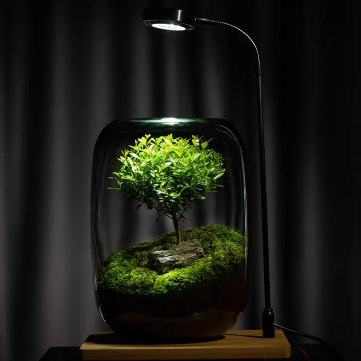 Micro Landscape Green Oasis Glass Vase | Skanto