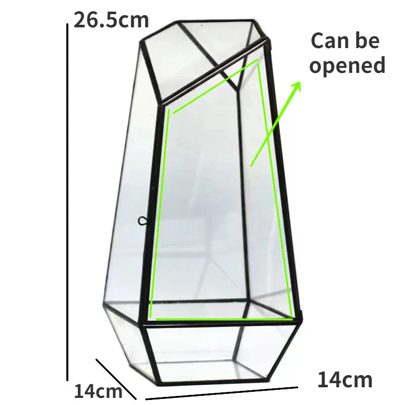 Moderne Geometriske Natur-Inspirerte Botaniske Terrarium | Skanto