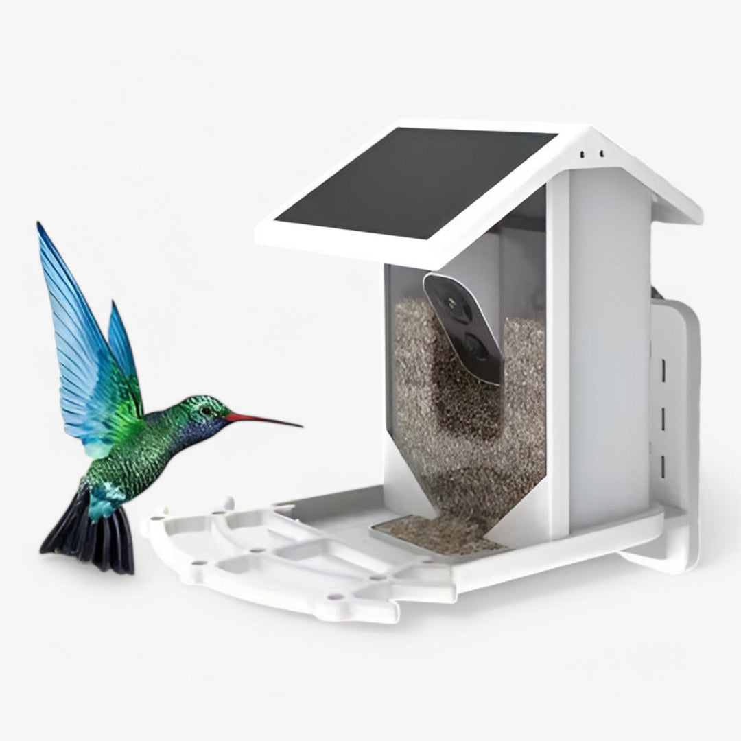 Skanto | Auxco | Smart Bird Feeder med 1080P HD Kamera, AI Fuglgjenkjenning & Solenergi Lading