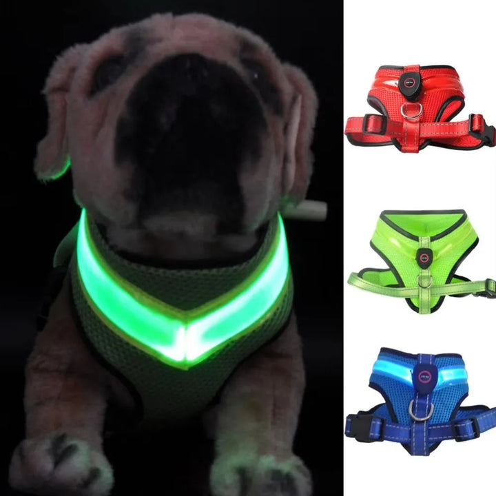 LED Hundesele USB oppladbar og justerbar Skanto