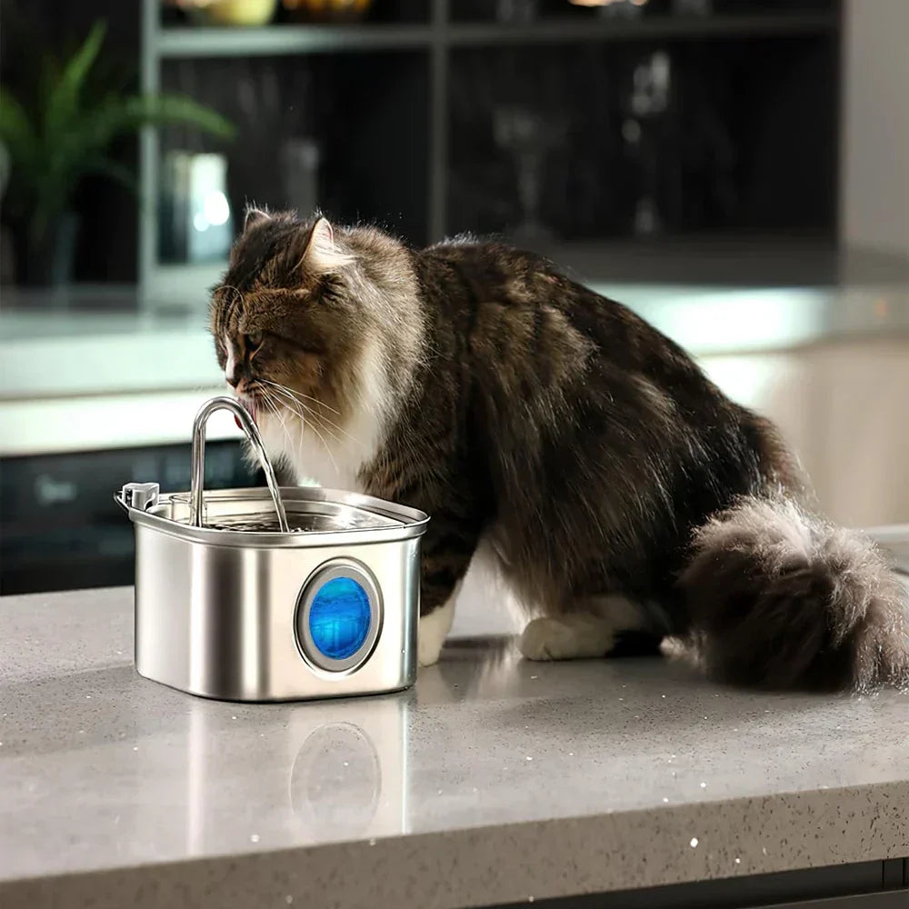 Skanto | Felindra Katte Drikkefontene Laget av Rustfritt Stål | Strømmende Vann for Bedre Hydrering | Stille & Hygienisk | 2,5 L Kapasitet