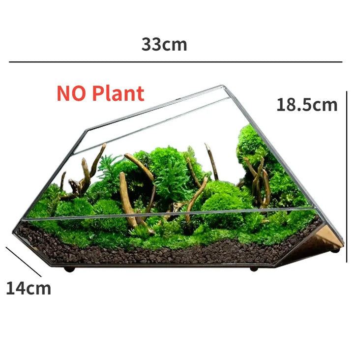 Skanto | Geometrisk Glass Mose Plante Terrarium Vase
