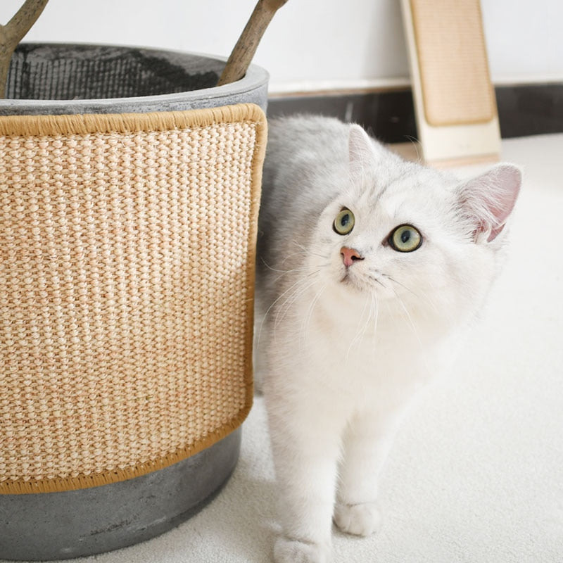 Skanto | Sofa Katt Klore Møbel Beskyttelse Matte