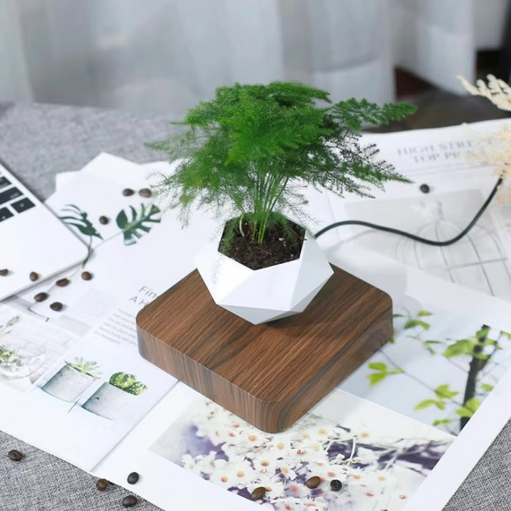 Skanto | Flytende Blomsterpotte – Magnetisk Flytende Planteholder