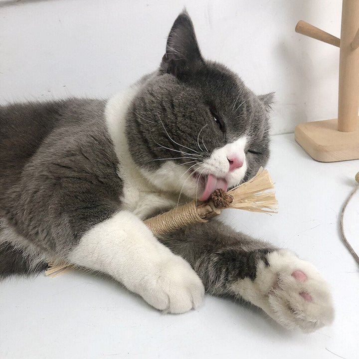 PawBite – Naturlige Tygestikker for Katter Skanto