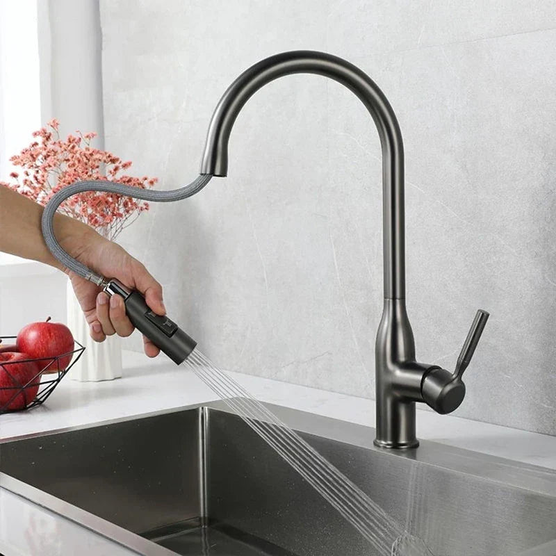 AquaStream Luxe – Justerbar Kjøkkenkran med Hånddusj Skanto