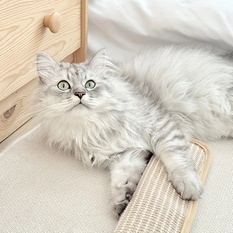 Klorepute for katter med kattmynt holdbar og robust Skanto