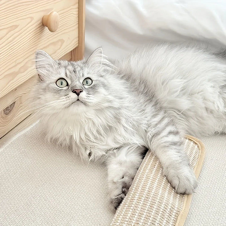 Klorepute for katter med kattmynt holdbar og robust Skanto