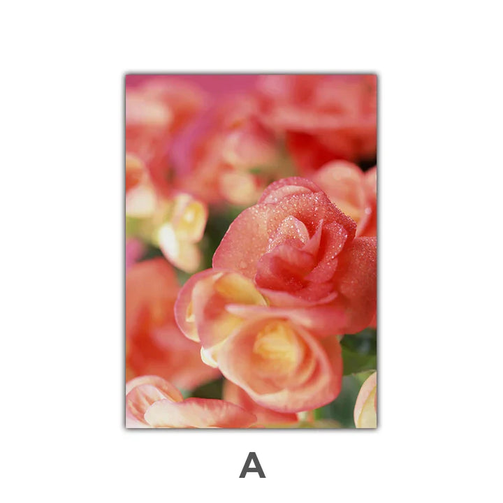 Pink Red Roses Floral Wall Art Fine Art Canvas Prints Modern Botanical Posters Pictures For Living Room, Bedroom Art Decor | Skanto