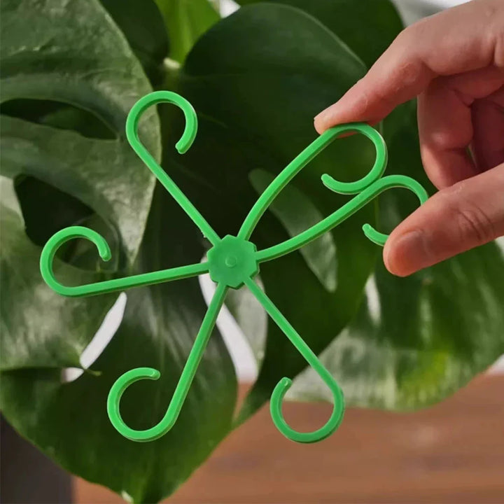 Skanto | Plante Stengel Støtte Ramme
