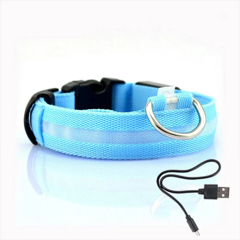 GlowCollar LED – BrightPaws Skanto