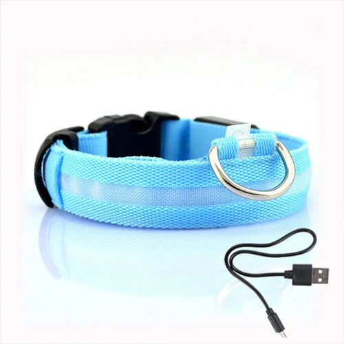 GlowCollar LED – BrightPaws Skanto