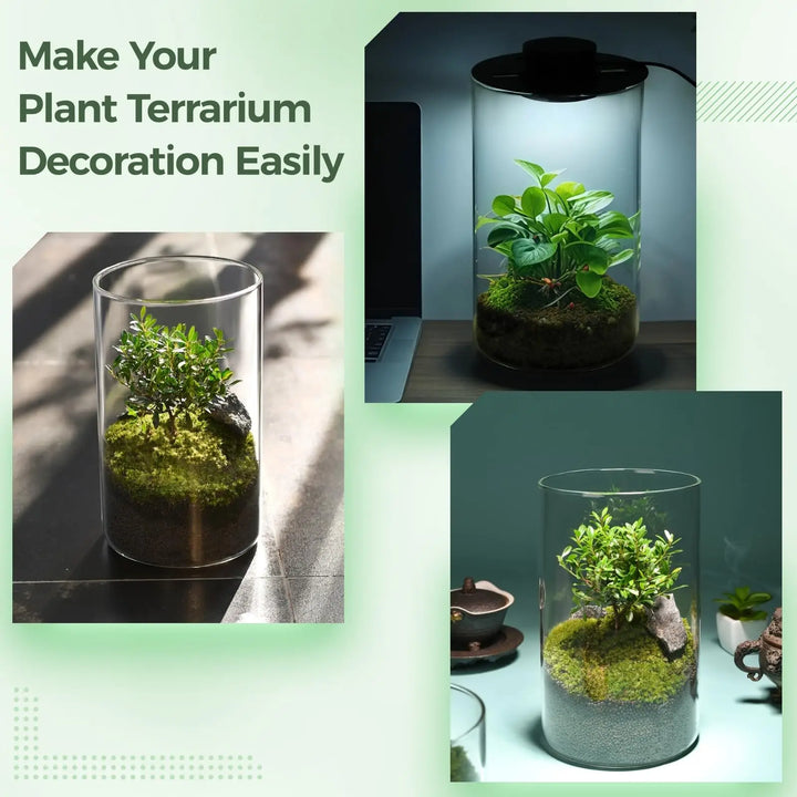 Skanto | Mini Forest Maker Terrarium Dekor Vase