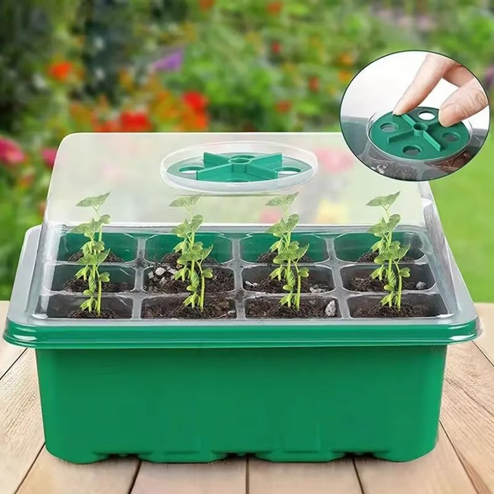 Skanto | 12-cellers plastplantekasse for saftig og hagesoer