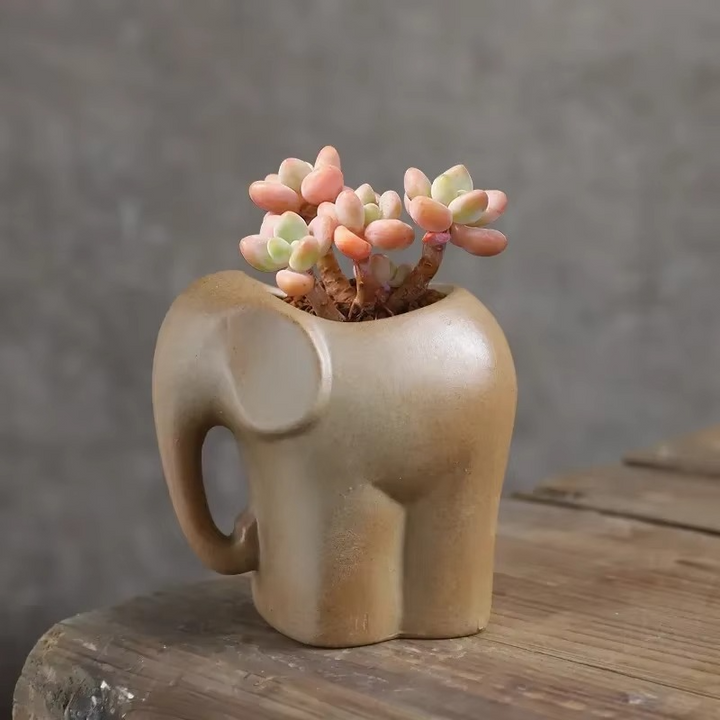 Skanto | Håndlaget Dyre Keramikk Succulent Potter, Små Pustende Skrivebordsplantere