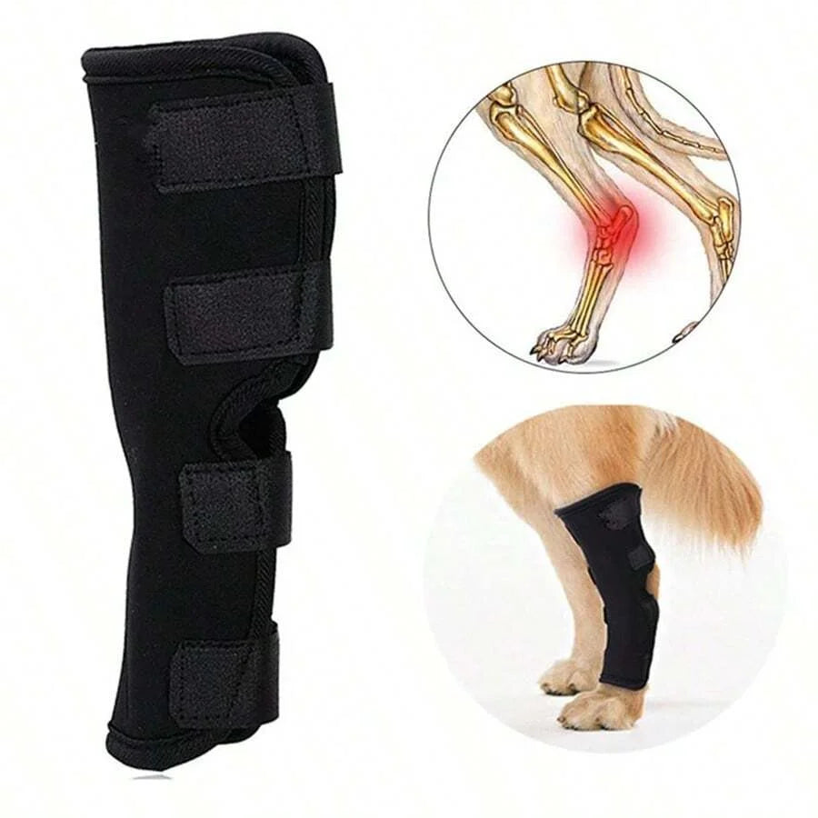 Felles støtte for hunder stabilisering & beskyttelse Skanto