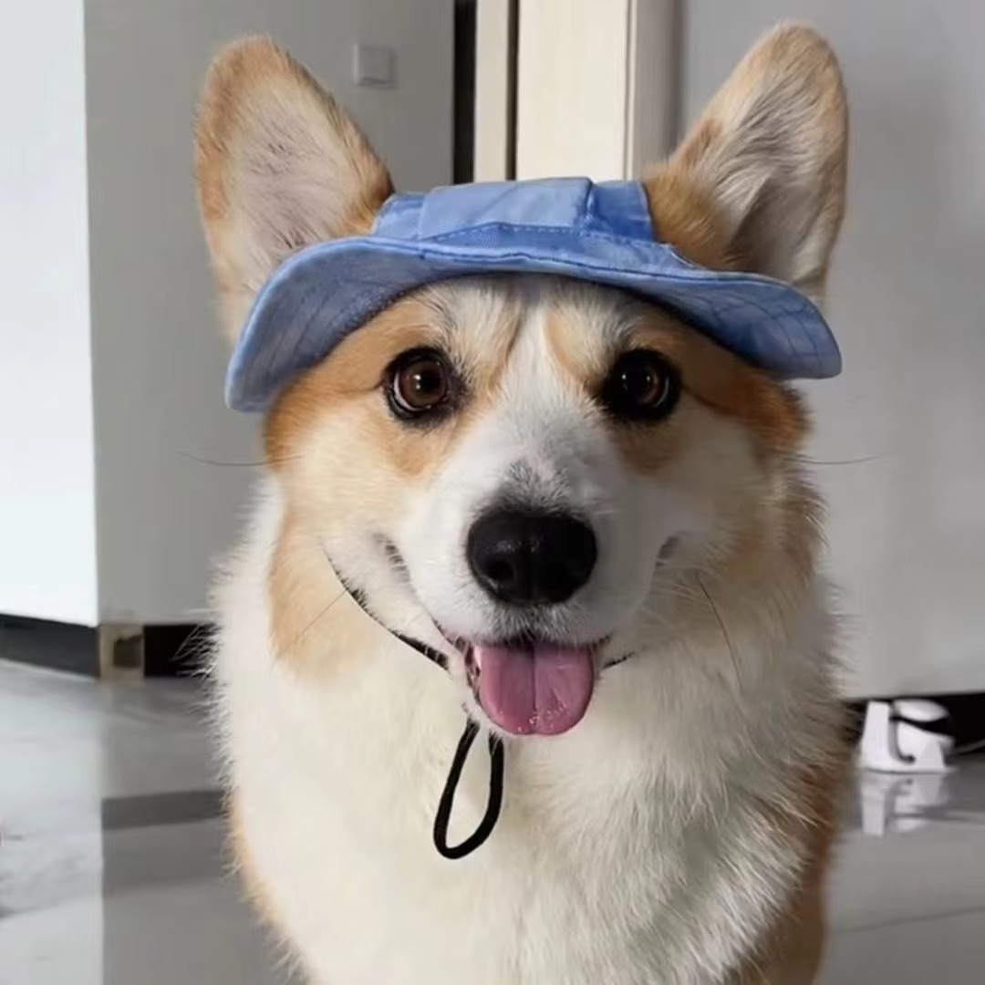 Skanto | Chic Pet Sun Hat - Lettvekts og stilfull solbeskyttelse for hunder og katter