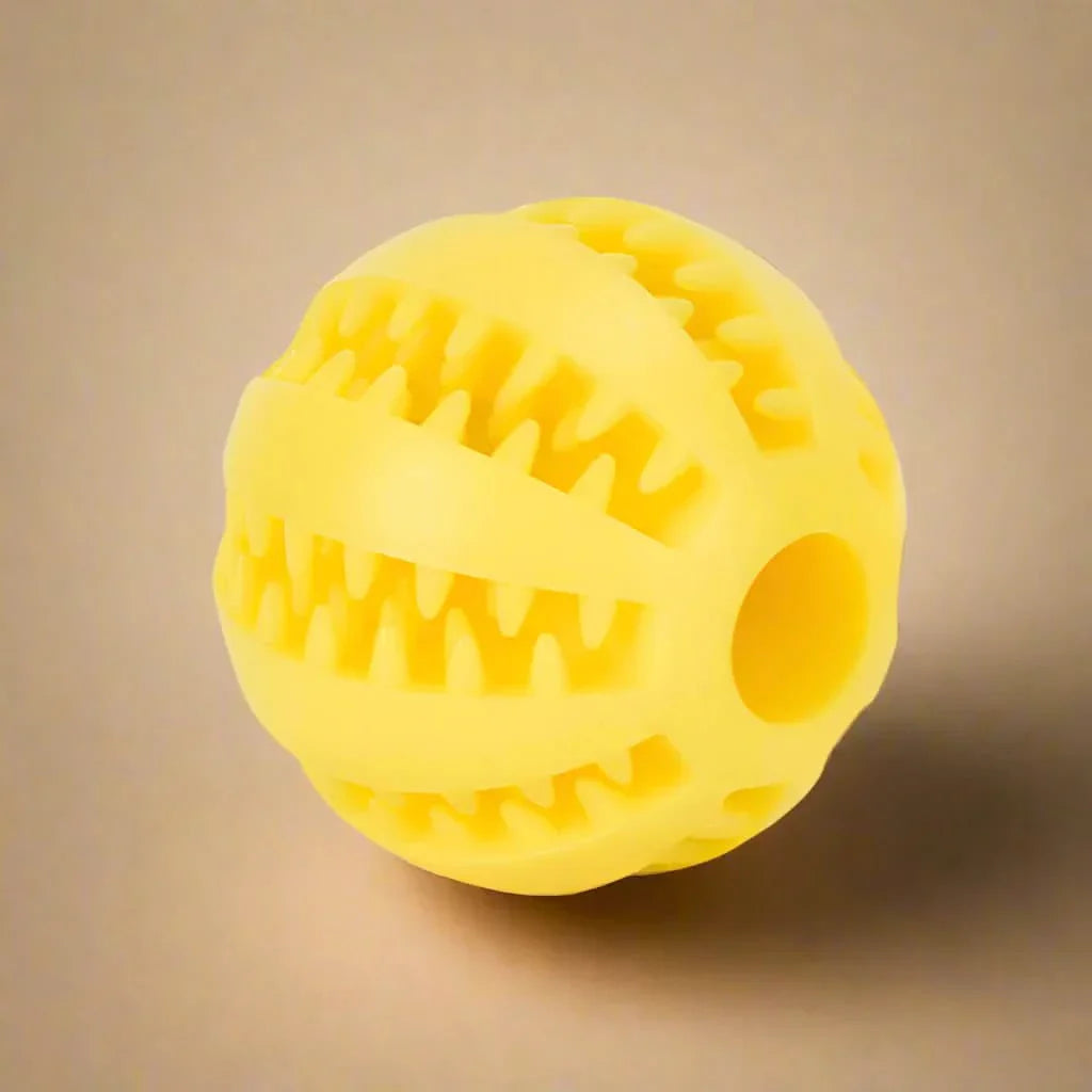 Skanto | KauSpaß Intelligensball – For sunne tenner & smarte hjerner
