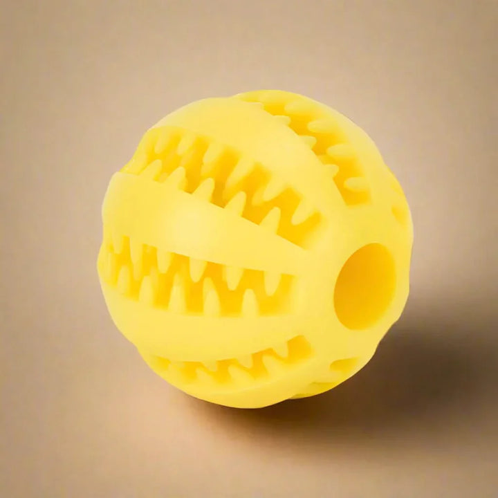 Skanto | KauSpaß Intelligensball – For sunne tenner & smarte hjerner